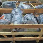 جيربكس ومكاينه سونتا سنتافي النتراء أكسنت اي تن ازيره كرنفال