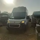بيجو بوكسر 2020
