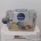 هامستر بدل او بيع