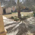 شاليه للايجار