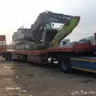 لوبد متواجد في القصيم