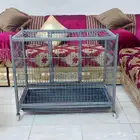 قفص كبير قطط   استاند ببغاء