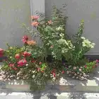 تنسيق وزراعة الحدائق