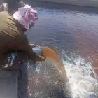 منظومة طاقة شمسية