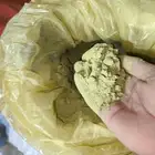 سدر المدينة