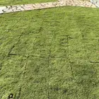 تنسيق حدائق