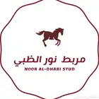 يقدم عرض الايوا أسطبل نور الظبي ب 550 ريال