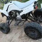 دباب شبيه رابتر110سي سي