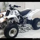دباب بانشي