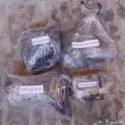 قطع اكسنت 2018 وكالة