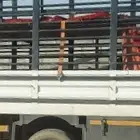 سوق الغنم الحويه زوحجي