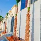 نخل واشنطن زينه نقوم بتوريد وتركيب وصيانة
