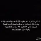 السلام عليكم انا لاعب فريستايل بلات 2 وادرب لاعبي الفريستايل