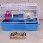 قفص كبير للهامستر همستر