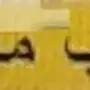 تعقيب معاملات في جميع الدوائر الحكومية