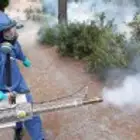 شركة مكافحة الحشرات والقوراض