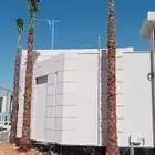 نخل متوفر لدينا جميع انواع نخل