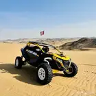 كان-آم مافريك R 2024. Can Am Maverick R