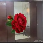 دولاب ملابس 250 ريال
