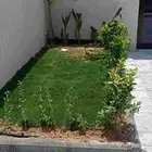 ابويوسف