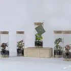 تصوير فوتو وفيديو ودرون