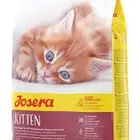 جميع انواع اكل القطط والمكافآت