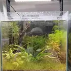 حوض سمك مزروع ومصمم ميديم تيك