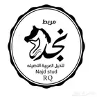 مربط نجد RQ للخيل العربيه الاصيله