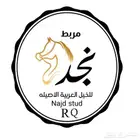 مربط نجد RQ ايواء تدريب عسف تشغيل