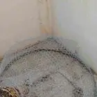 صخوه بحر للبيع