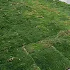 ابومحمد لتنسيق الحدائق