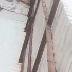 شينكو وجسور