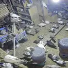 حمام للصقور