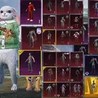 rare pubg account