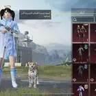حساب ببجي اب 100