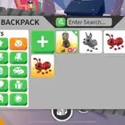 حيوانات ادوبت مي  بسعر رخيص