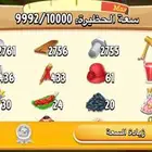 هاي داي منتجات