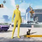 حساب ببجي