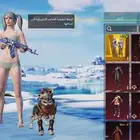 حساب ببجي للبيع اي استفسار خاص