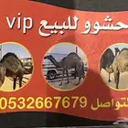 متوفرر جميع الحشوو