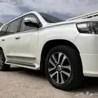 تورنق 2019 GXR 3