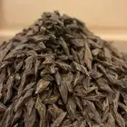 عود طبيعي محسن درجة اولى