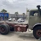 للبيع راس قلاب بوز الحجم 2628