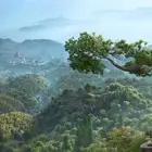 اساسن كريد شادوز اليابان