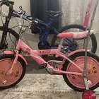 دراجه سيكل بنات و لوحات جداريه لوحات فنيه