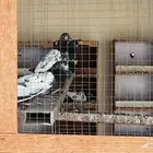 حمام تيدي باكستاني طيار