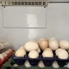 بيض دجاج بلدي