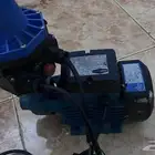 دينو للبيع