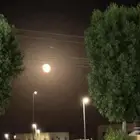 حساب تيك توك