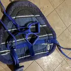 ابطانه خيل